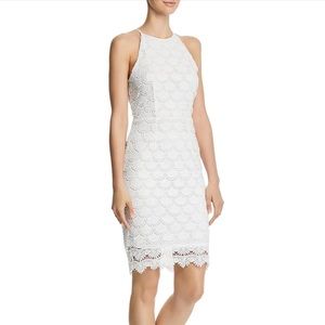 Aqua White Lace Bodycon Dress